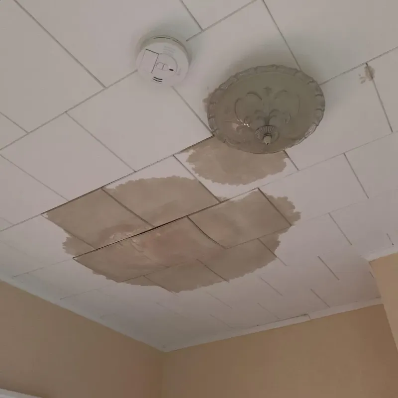 Ceiling Water Damage Repair in Hillsboro, TX