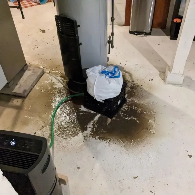 Sewage Backup Cleanup Service in Hillsboro, TX